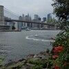 igornewyorker